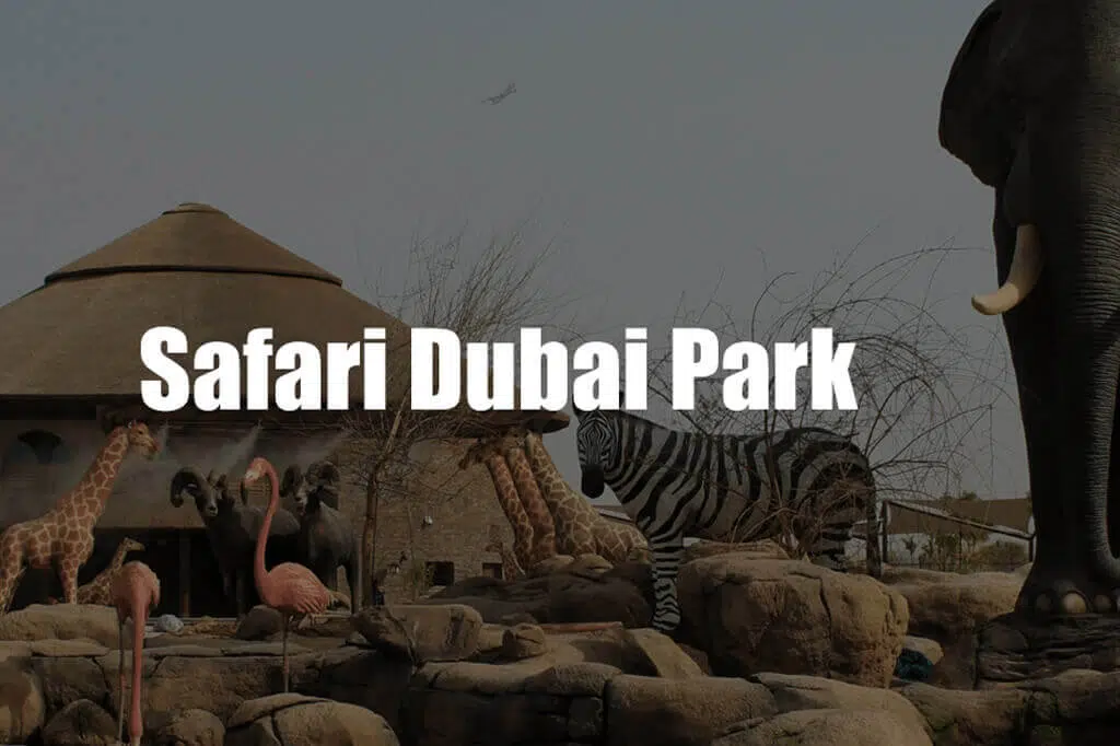 Safari-Dubai-Park