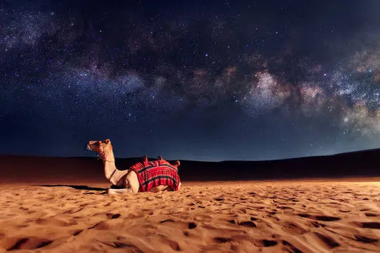 NIGHT STAY IN DUBAI DESERT – ULTIMATE DESERT SAFARI EXPERIENCE