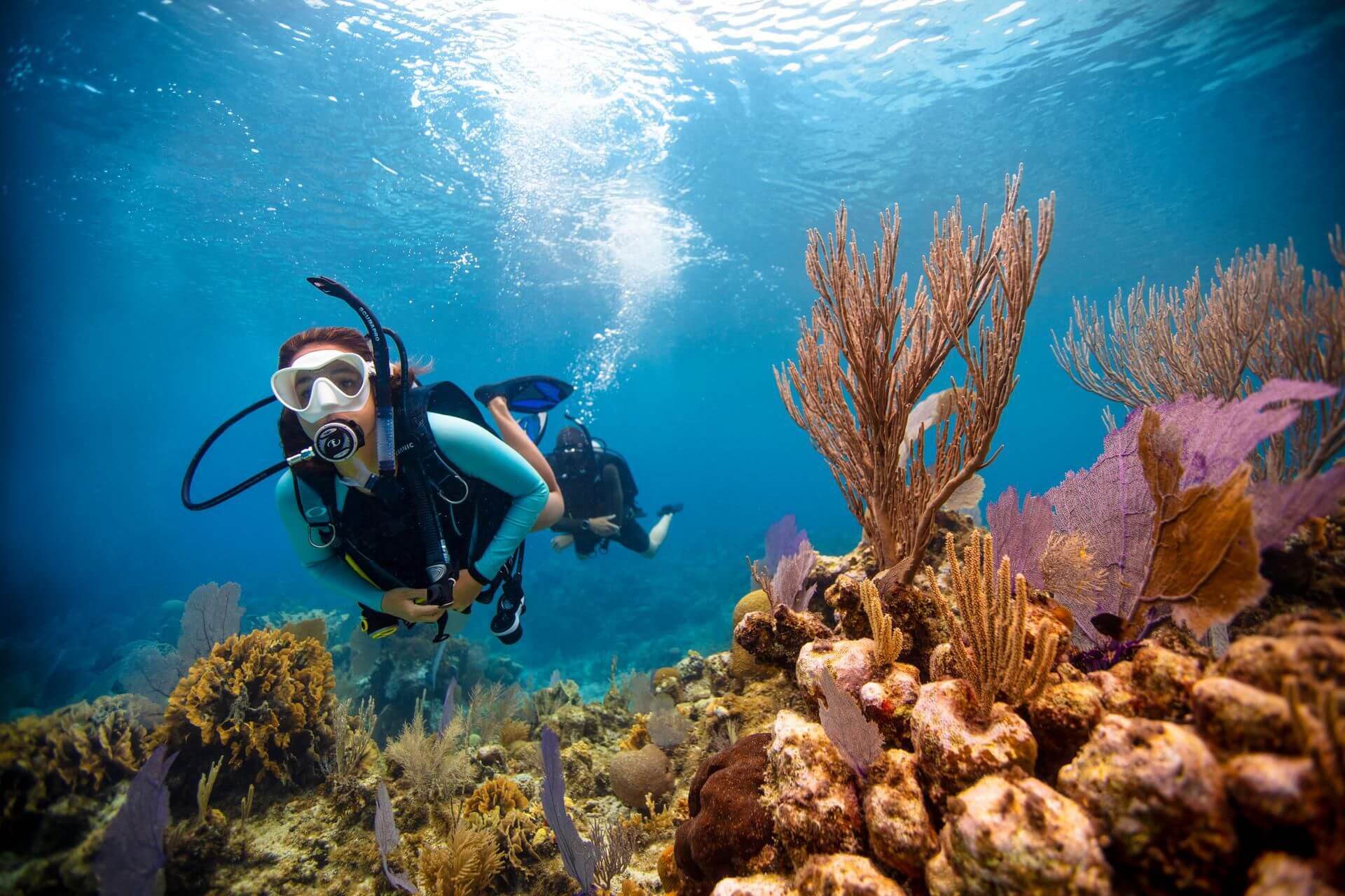 Best spots for scuba diving in Dubai - Mala Tourism