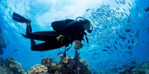 Scuba diving Dubai