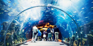 the lost chambers aquarium