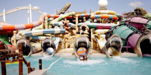 Yas Water Park Without Meal