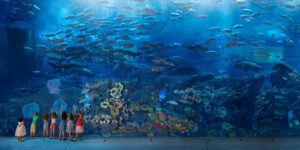 aquarium dubai