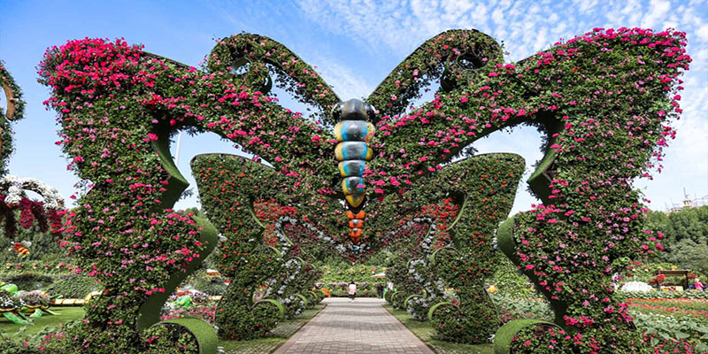 butterfly garden in dubai