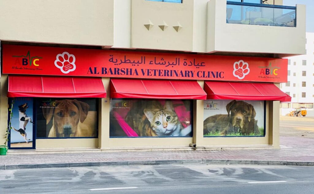 Best Veterinary Clinics in Dubai (2024 Updated)