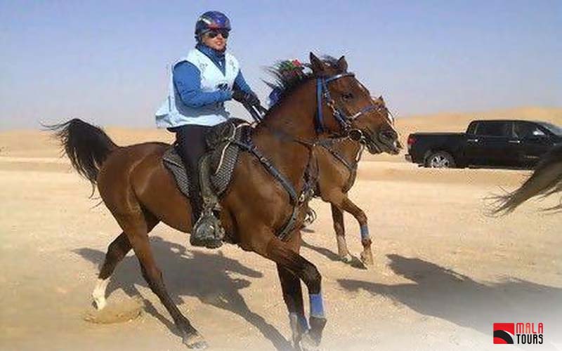 Enjoy Horse Riding at Ajman