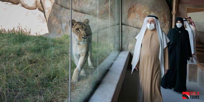 Sharjah safari park