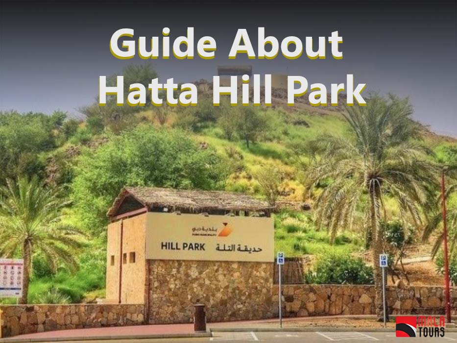 Complete Guide About Hatta Hill Park