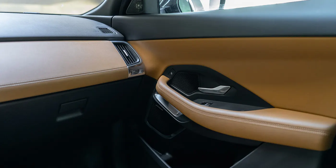 Jaguar E-Pacе R-Dynamic Edition door